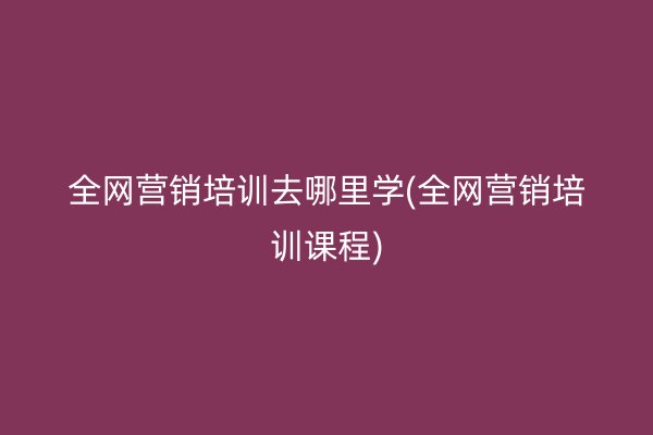 全网营销培训去哪里学(全网营销培训课程)