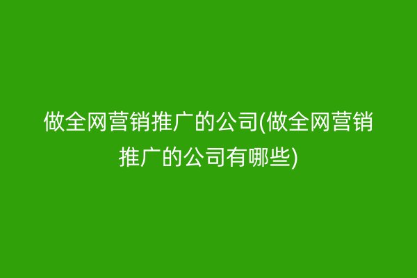 做全网营销推广的公司(做全网营销推广的公司有哪些)