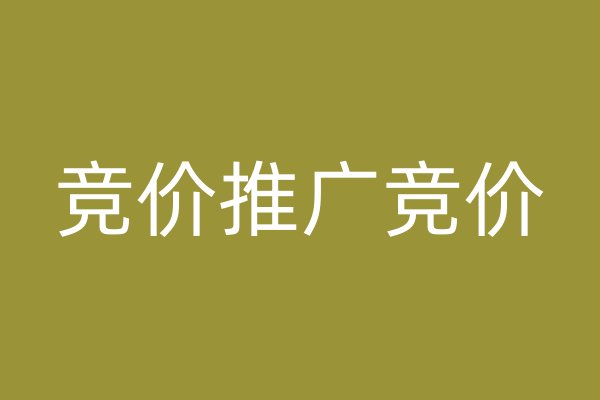 竞价推广竞价