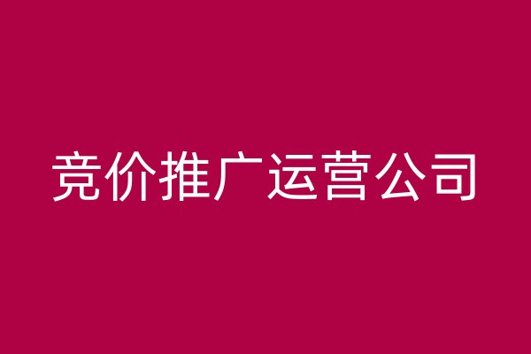 竞价推广运营公司