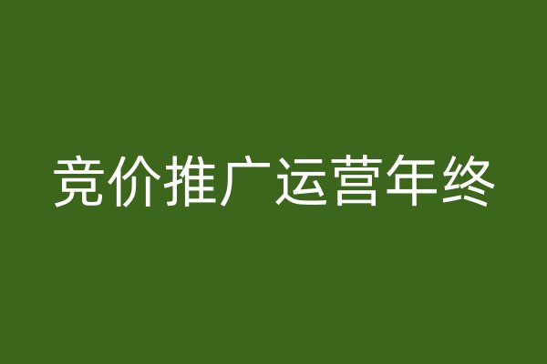 竞价推广运营年终