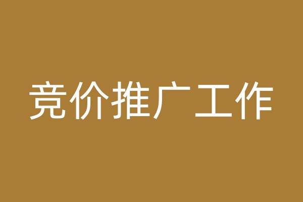 竞价推广工作