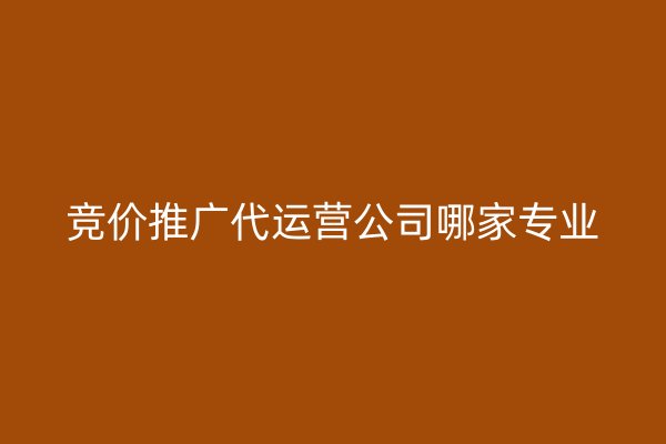 竞价推广代运营公司哪家专业