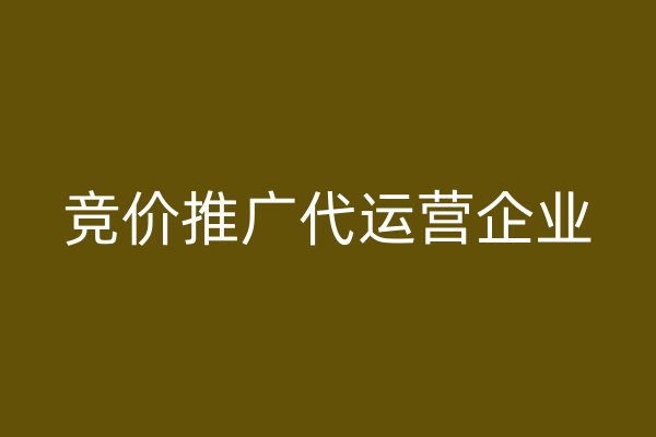 竞价推广代运营企业