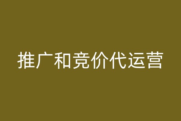 推广和竞价代运营