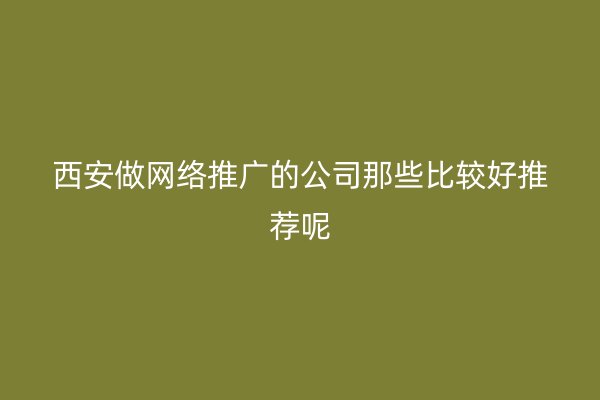 西安做网络推广的公司那些比较好推荐呢