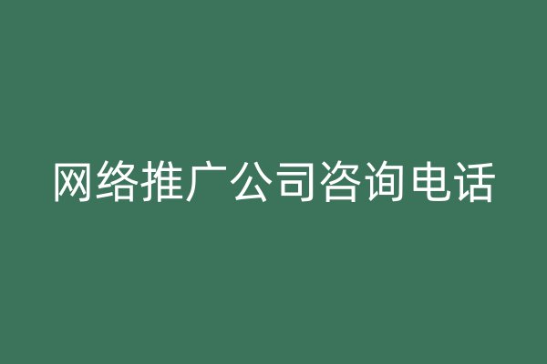 网络推广公司咨询电话