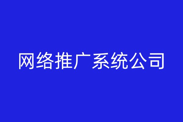 网络推广系统公司