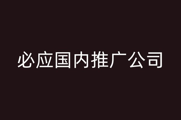 必应国内推广公司