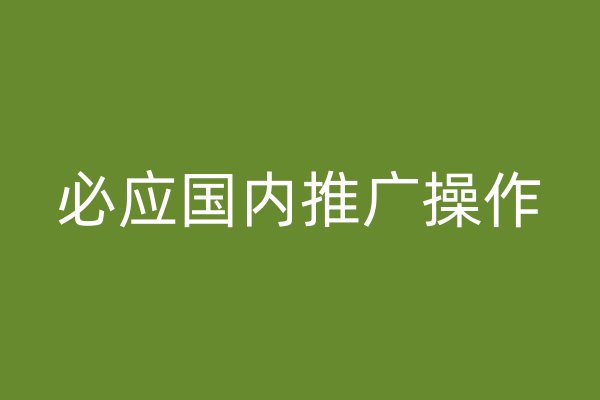 必应国内推广操作