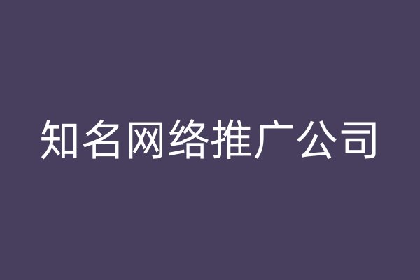 知名网络推广公司