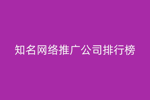 知名网络推广公司排行榜