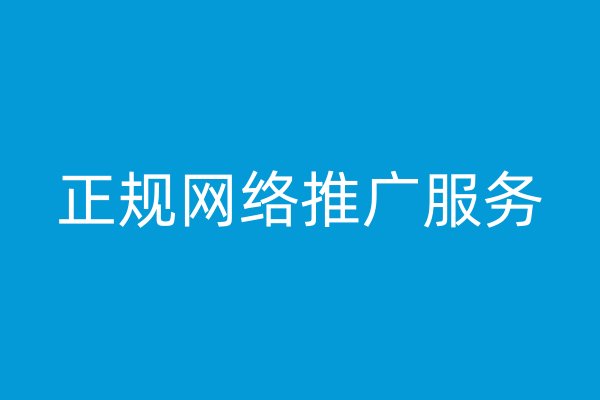 正规网络推广服务