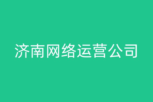 济南网络运营公司