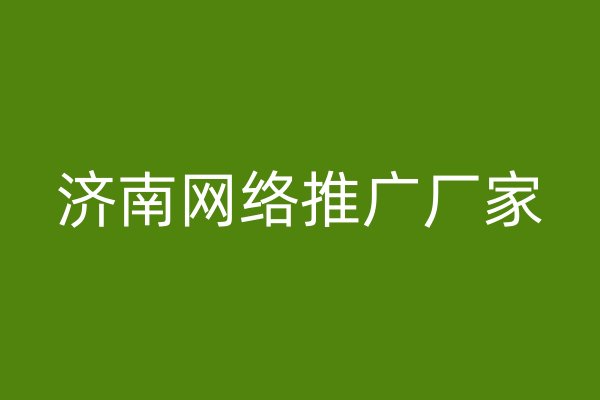 济南网络推广厂家