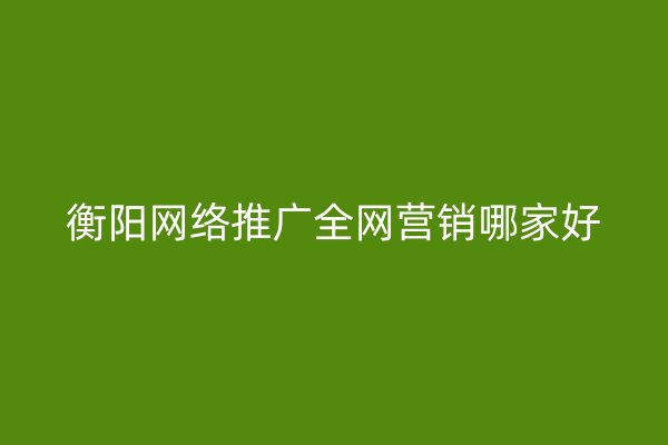 衡阳网络推广全网营销哪家好