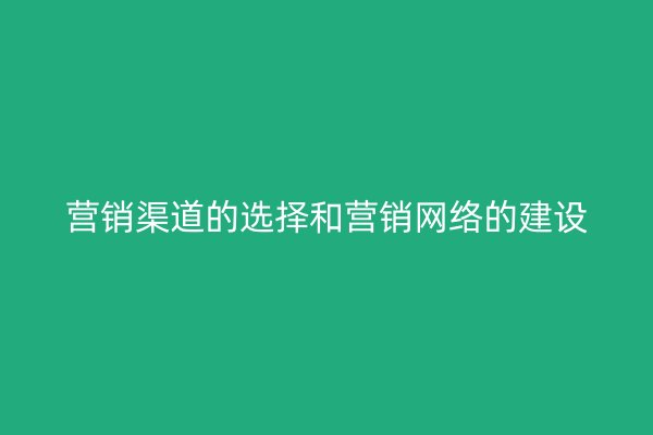 营销渠道的选择和营销网络的建设