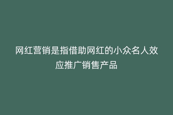 网红营销是指借助网红的小众名人效应推广销售产品