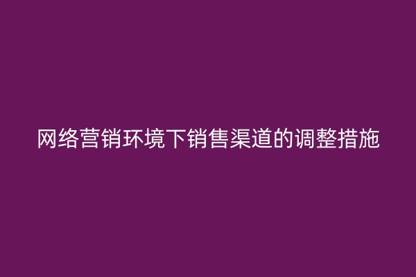 网络营销环境下销售渠道的调整措施