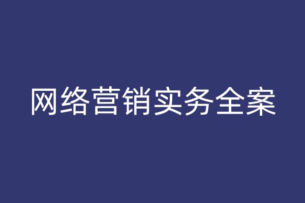 网络营销实务全案