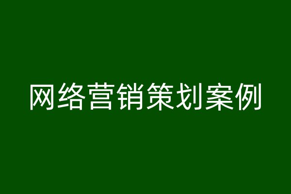 网络营销策划案例