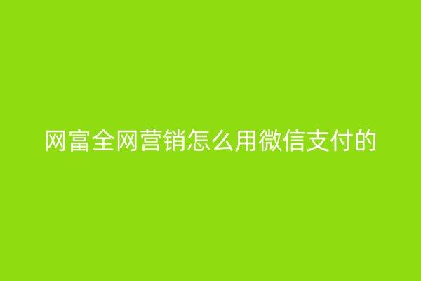 网富全网营销怎么用微信支付的