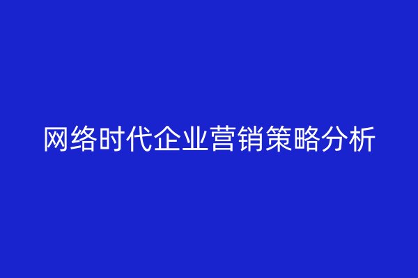 网络时代企业营销策略分析