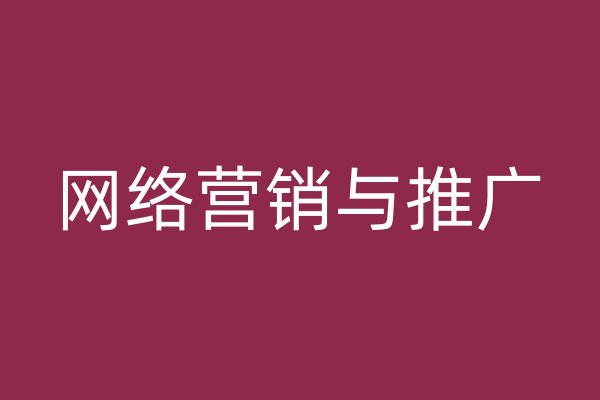 网络营销与推广