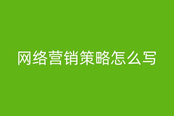 网络营销策略怎么写