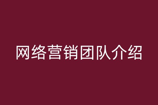 网络营销团队介绍