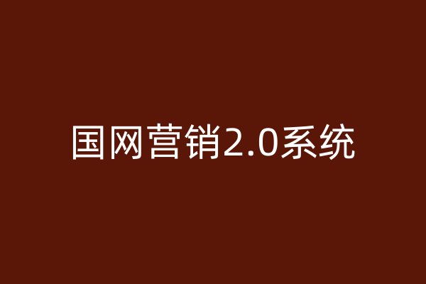 国网营销2.0系统