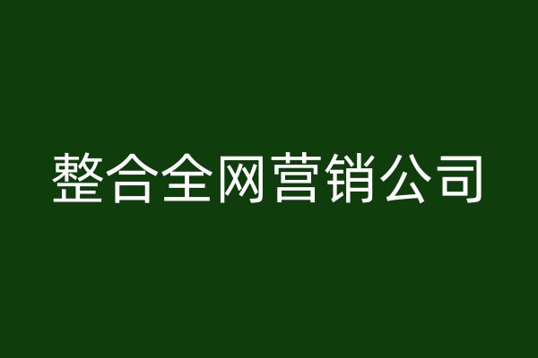 整合全网营销公司