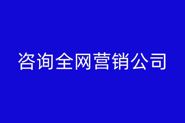 咨询全网营销公司