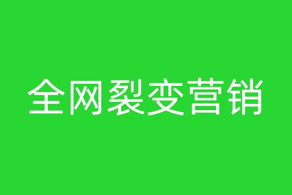 全网裂变营销