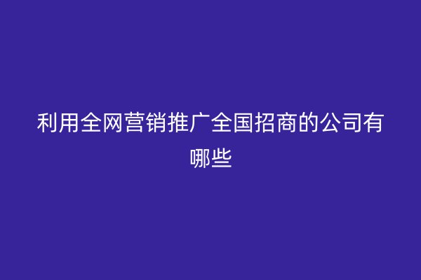 利用全网营销推广全国招商的公司有哪些