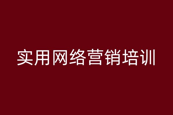 实用网络营销培训