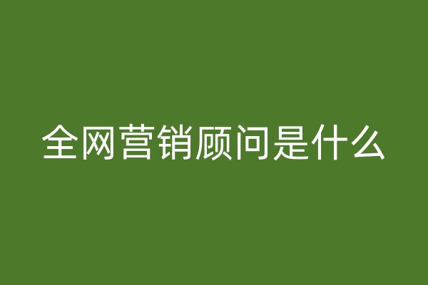 全网营销顾问是什么