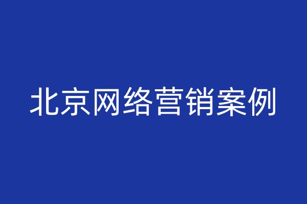 北京网络营销案例