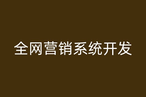 全网营销系统开发