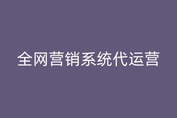 全网营销系统代运营