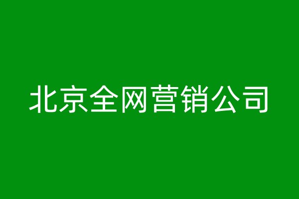 北京全网营销公司