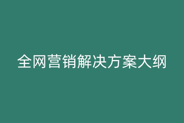 全网营销解决方案大纲