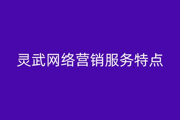 灵武网络营销服务特点