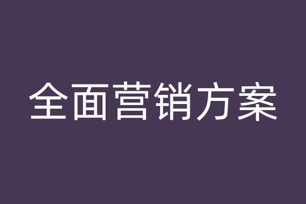 全面营销方案