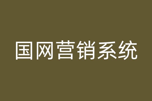 国网营销系统