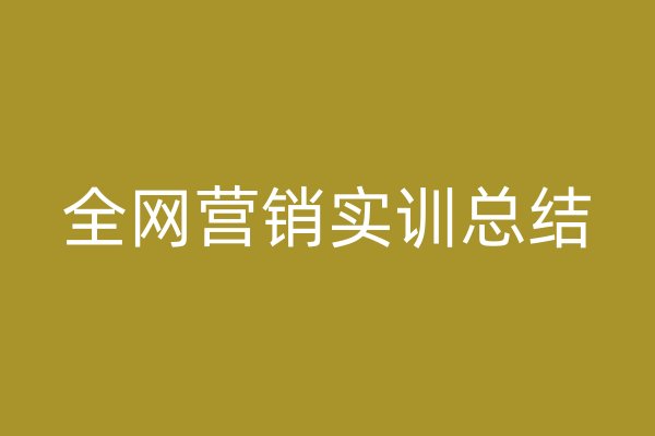 全网营销实训总结