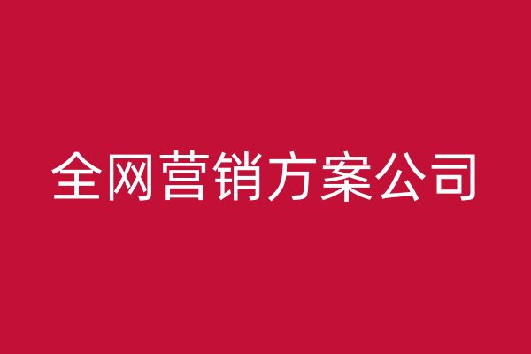 全网营销方案公司