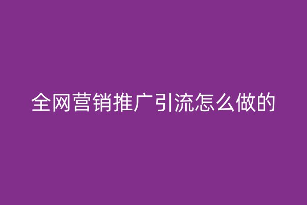 全网营销推广引流怎么做的