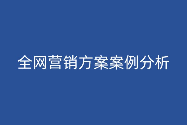 全网营销方案案例分析