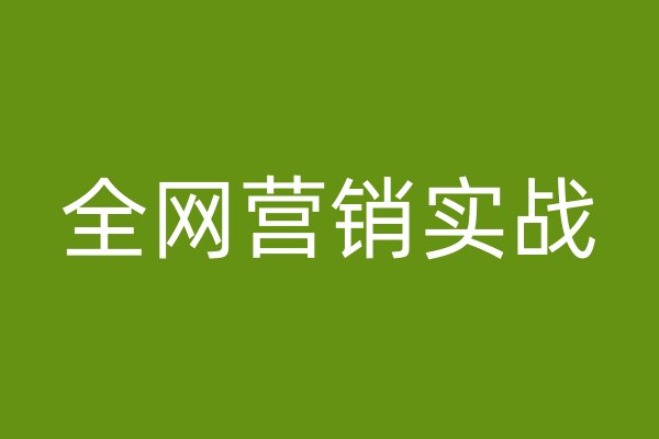 全网营销实战